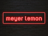Fototapeta  - meyer lemon のネオン文字