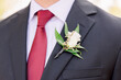 © DPN - Close-up of Caucasian groom's red tie with a rose boutonniere