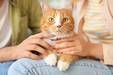Fototapeta Koty - Young couple with cute cat sitting at home, closeup