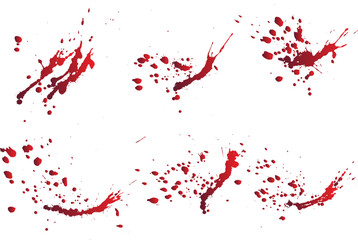 Wall Mural - Set of red blood or paint splatter background