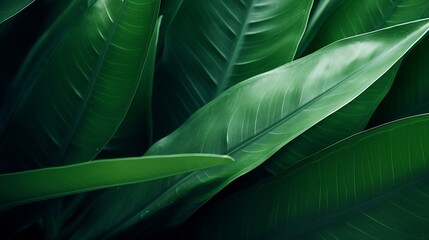 Aufkleber - abstract green leaf texture, nature background, tropical leaf : Generative AI