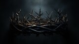A 3D render concept of branches of thorns woven into a crown depicting the crucifixion casting a shadow of a royal crown on a dark background