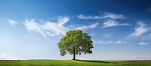 In A Pristine Setting A Solitary Flawlessly Verdant Tree Stands Tall And Proud Amidst The Boundless Expanse Of A Clear Blue Sky