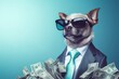 Cool rich successful hipster dog wearing suit with sunglasses with cash money. Blue background