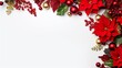 © Ameer - Red and green Christmas frame with poinsettia, pine, and berries with copy space on white background