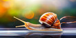 Fast-moving snail with motion blur effect.
