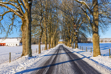 Canvas Print - Icy country road in a rural landscape