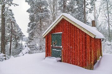 Wall Mural - Red cottage in the woods in a snowfall