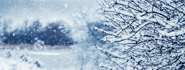 Wall Mural - A tree covered with snow near a river during a heavy snowfall