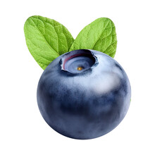 Fresh Blueberries With Blueberry Leaves Isolated On Transparent Background PNG Generative AI