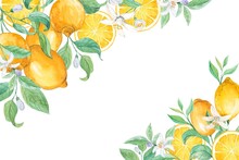 Lemon Branches. Watercolor On A White Background. A Composition With Yellow Fruits Is Placed In The Corners. Illustration For Wedding Invitation, Italian Limoncello Or Lemonade Label. Provence Style.