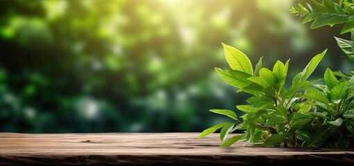 Wall Mural - Empty table with nature tapestry. Exploring beauty of green foliage sunlit leaves and organic textures in summer environment