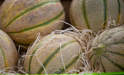 Sticker - background of melon fruit in shell