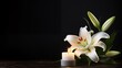 © id512 - beautiful white lily and burning candle on black background with copy space for text, funeral card concept