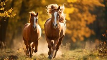 Two Wild Chestnut Steeds Running Together In Clean Front See