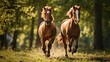 Two wild chestnut steeds running together in clean front see