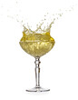 Splashing champagne in an elegant vintage glass isolated on white background. Real studio photo shot.