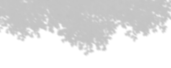 Wall Mural - shadow sunshade trees leaves top composition cutout transparent backgrounds 3d rendering png