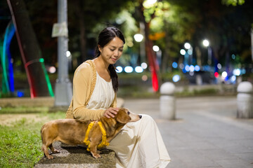 Wall Mural - Woman go for a walk with her dog at night