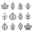 Autumn leaves silhouettes. Vector illustrations. Isolated on white background. Flat style. Simple plant outlines for paper or laser cutting and printing on any surface.