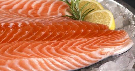 Wall Mural - Salmon on a tray with ice on a dark background. Close-up footage on the rotating table.