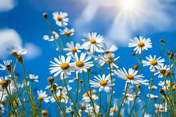 Wall Mural - field of daisies