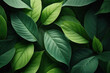 © CtrlN - Group background of green leaves. Concept of nature. Green tropical leaves. Background and texture.