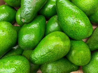 Background of fresh green avocado closeup, vegetables on sale. Background of organic avocado on a branch in nature. Organic Avocado Fruit in the market. Bio Avocado background. 