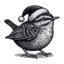 Wren Bird Wearing A Santa Claus Hat Christmas Sketch