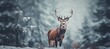 Christmas background with a deer standing in a snowy forest. winter wonderland, banner background xmas card, copy space for text