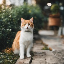 AI Generated Illustration Of An Orange Tabby Cat  Next To A Row Of Green Shrubs And Pots