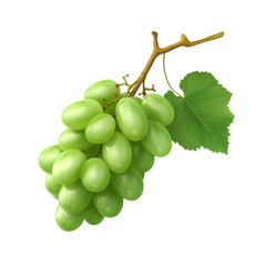 Wall Mural - Green grape panicle isolated on transparent background