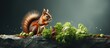 A lettuce consuming squirrel perched on a rock