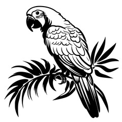 parrot vector