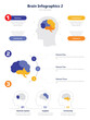 © Mahendra Mk - Unlocking the Mysteries of the Brain: An Infographic,The Incredible Brain: A Visual Guide,Neuroscience Unveiled: Exploring the Brain,Your Brain in Action: An Infographic Journey