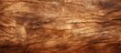 © AkuAku - Close up of the sunlit texture of bark on a tree