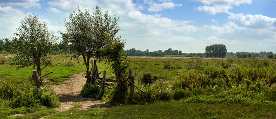 Wall Mural - panoramic view of countryside in the summer, entrance to the pasture with fence