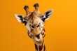 portrait of shocked giraffe with surprised face