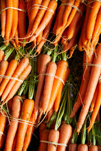 Bunch Of Fresh Carrots In A Market