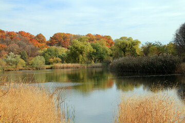 Autumn landscape with colorful trees and lake