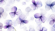 Delicate Violets Watercolor Seamless Pattern, Background Image, Hd