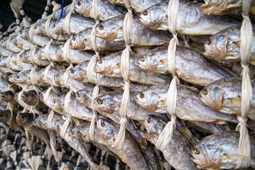 Wall Mural - Korea fish food dried yellow corvina