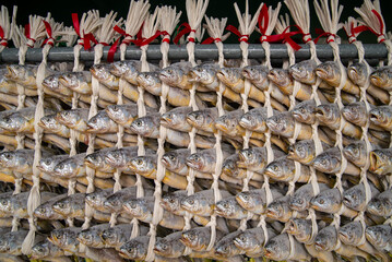 Wall Mural - Korea fish food dried yellow corvina