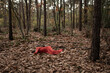 © Milou Dirks - woman in red dress laying down alone in forest in autumn