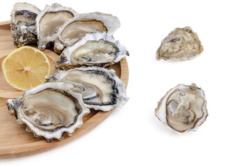  fresh appetizing oysters on white background 3