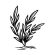 Plant vector in black and white with hand drawn style.