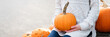 Child girl holding beautiful pumpkin on Halloween market. Harvesting on autumn farm. Local homegrown vegetables, organic eco-friendly food. Hands with Jack o lantern, banner with copy space