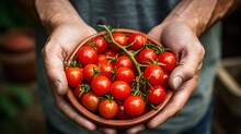 Hands Holding A Small Bowl With Fresh Cherry Tomatoes