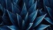 © NI - Dark blue toned background with an abstract natural pattern and an agave plant.