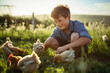 Shot of a young farmer tending to his flock of chickens in the field